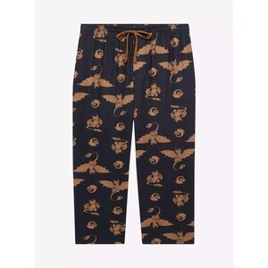Dreamworks How To Train Your Dragon Toothless Poses Sleep Pants Medium NWT